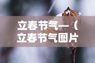立春节气—（立春节气图片）