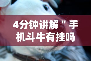 4分钟讲解＂手机斗牛有挂吗怎么用”详细开挂教程