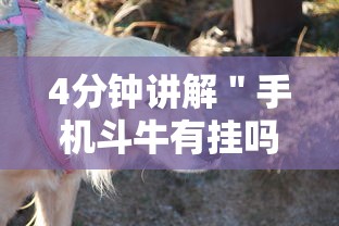 4分钟讲解＂手机斗牛有挂吗怎么用”详细开挂教程