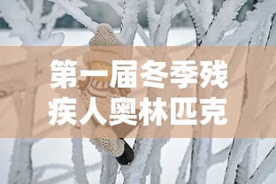 第一届冬季残疾人奥林匹克运动会›第一届冬季残疾人奥林匹克运动会在哪个国家举行
