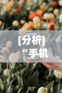 [分析]“手机十三道有什么技巧”分享用挂教程