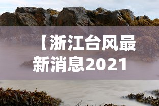 【浙江台风最新消息2021年7月台风,浙江台风最新消息2021年8月台风】