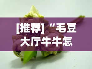 [推荐]“毛豆大厅牛牛怎么装挂”真可以装挂