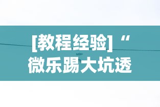[教程经验]“微乐踢大坑透视”(太坑了果然有挂)
