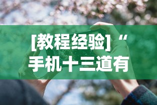 [教程经验]“手机十三道有什么技巧”揭秘透视辅助万能挂用法