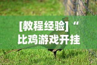 [教程经验]“比鸡游戏开挂怎么弄呢”(太坑了果然有挂)