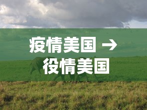 疫情美国 → 役情美国