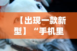 【出现一款新型】“手机里斗牛怎么开挂”(详细透视教程)-知乎