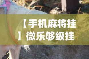 【手机麻将挂】微乐够级挂机头像”(曝光透视必备猫腻)