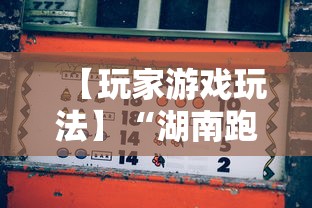 【玩家游戏玩法】“湖南跑胡子技巧十句口诀必胜技巧	”揭秘透视辅助万能挂用法