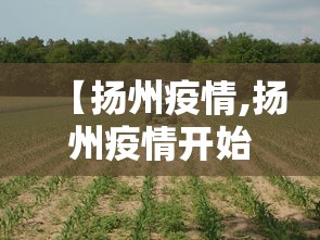 【扬州疫情,扬州疫情开始与结束的时间表】
