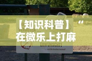 【知识科普】“在微乐上打麻将一直输”原来可以开挂