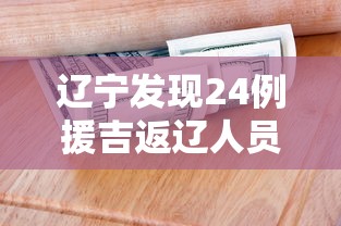 辽宁发现24例援吉返辽人员阳性—（辽宁确诊一例境外输入）