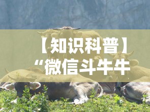 成都限号规定—（成都限号规定字母算几）