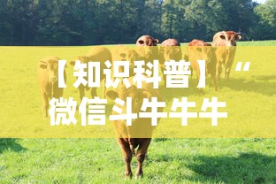 【知识科普】“微信斗牛牛牛群有挂吗”详细分享装挂步骤教程