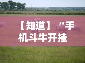 【知道】“手机斗牛开挂神器下载苹果版”确实果然有挂