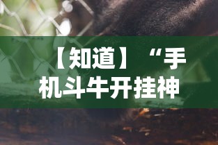 【终于出现】“微乐石家庄麻将推倒胡万能开挂器	”其实确实有挂