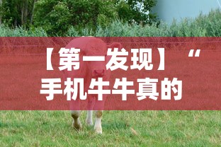 【第一发现】“手机牛牛真的有挂吗”原来有神器下载