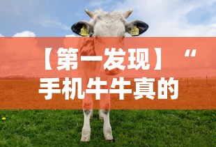 【第一发现】“手机牛牛真的有挂吗	”原来有神器下载