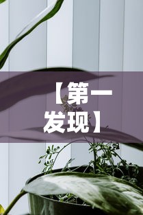 【第一发现】“金华佛手十三道辅助器”真实开挂技巧分享