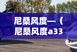 尼桑风度—（尼桑风度a33参数配置）