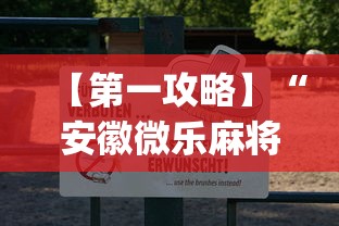 【第一攻略】“安徽微乐麻将有挂吗”(确实有挂)