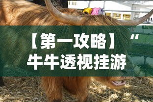 【第一攻略】“牛牛透视挂游戏特色”详细辅助透视