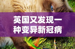 英国又发现一种变异新冠病毒—（英国又发现一种变异新冠病毒是真的吗）
