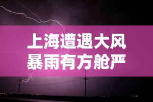 上海遭遇大风暴雨有方舱严重漏雨：上海大暴雨台风
