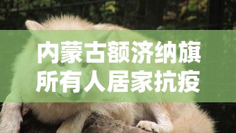 内蒙古额济纳旗所有人居家抗疫—（内蒙古额济纳旗疫情溯源）