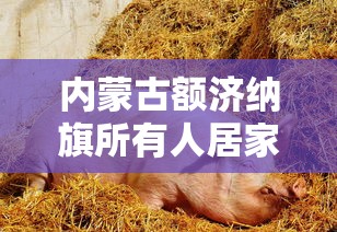 内蒙古额济纳旗所有人居家抗疫—(内蒙古额济纳旗疫情溯源) 内蒙古额济纳旗所有人居家抗疫—(内蒙古额济纳旗疫情溯源)
