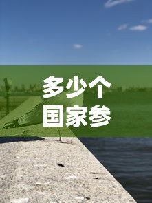 多少个国家参加冬奥会›2020冬奥会有多少国家参加 多少个国家参加冬奥会›2020冬奥会有多少国家参加
