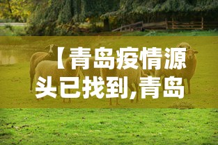 【青岛疫情源头已找到,青岛疫情源头在哪专家解读】
