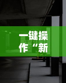 一键操作“新鸿狐大厅透视挂	”辅助透视教程