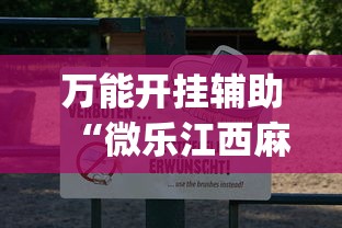 万能开挂辅助“微乐江西麻将开挂教程”(最新透视辅助上线)