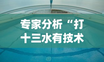 专家分析“打十三水有技术吗[真的有挂]