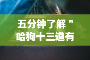 五分钟了解＂哈狗十三道有挂吗”开挂(透视)辅助教程
