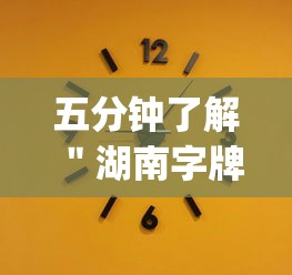 五分钟了解＂湖南字牌跑胡子技巧	”作弊(透视)透视辅助