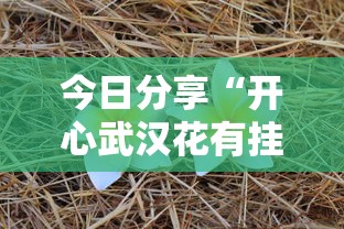 今日分享“开心武汉花有挂吗”附开挂脚本详细步骤