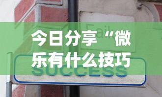 今日分享“微乐有什么技巧”开挂(透视)辅助教程