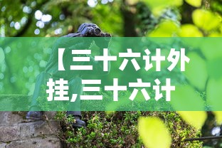 【三十六计外挂,三十六计下载安装】