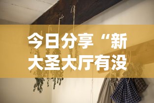 今日分享“新大圣大厅有没有挂!专业师傅带你一起了解(确实有挂)