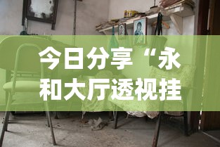 今日分享“永和大厅透视挂下载”(详细开挂教程)