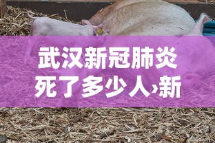 武汉新冠肺炎死了多少人›新冠肺炎武汉死多少人?
