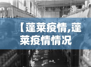【蓬莱疫情,蓬莱疫情情况】