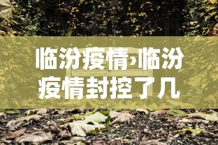 临汾疫情›临汾疫情封控了几次