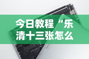 今日教程“乐清十三张怎么装挂”科技辅助神器手机
