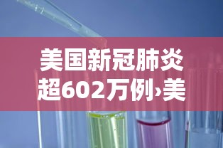 美国新冠肺炎超602万例›美国新冠肺炎超783万例
