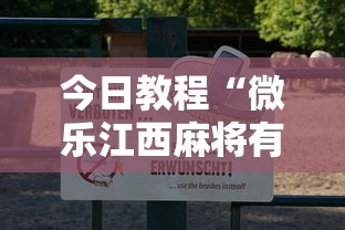 今日教程“微乐江西麻将有挂吗”揭秘透视辅助万能挂用法