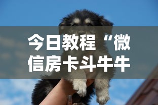 今日教程“微信房卡斗牛牛有挂吗”原来可以开挂